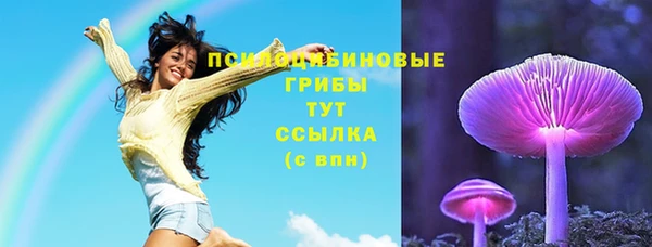 гидропоника Аркадак